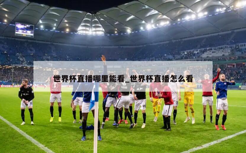 世界杯直播哪里能看_世界杯直播怎么看