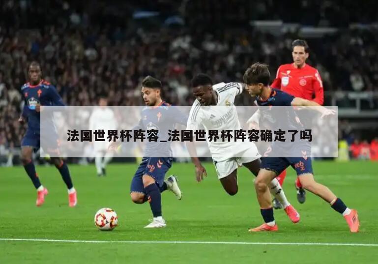 法国世界杯阵容_法国世界杯阵容确定了吗