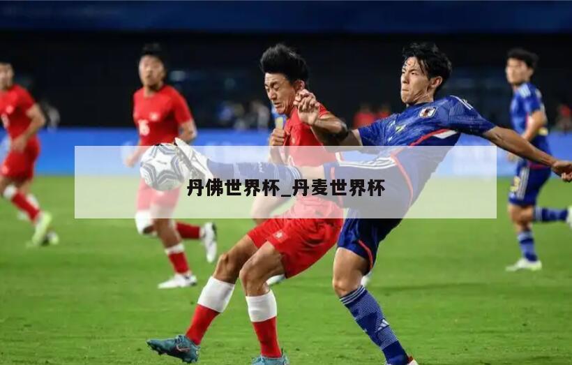 丹佛世界杯_丹麦世界杯
